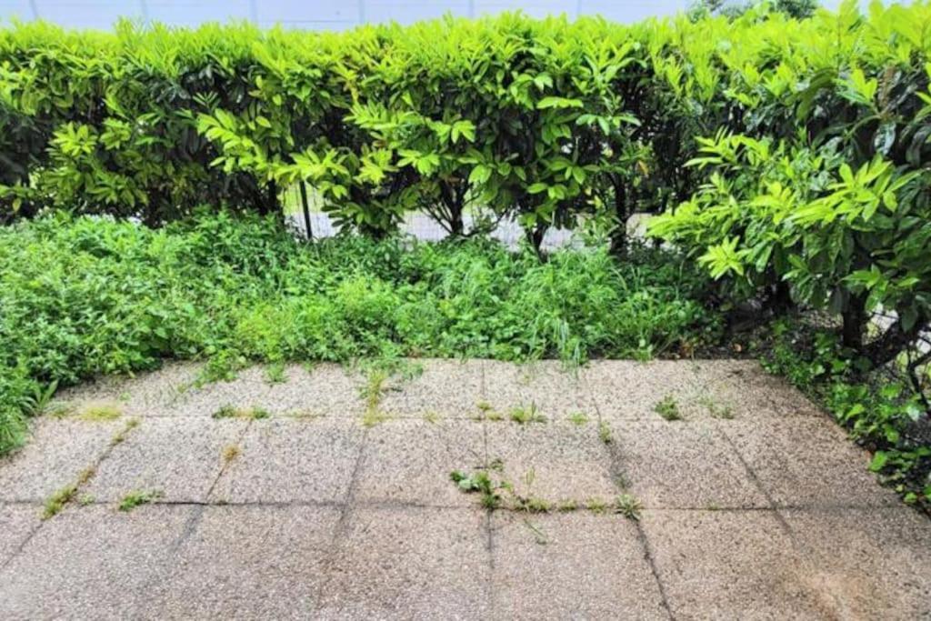 Appartement Cosy Proche Paris Le Bourget Ngoại thất bức ảnh